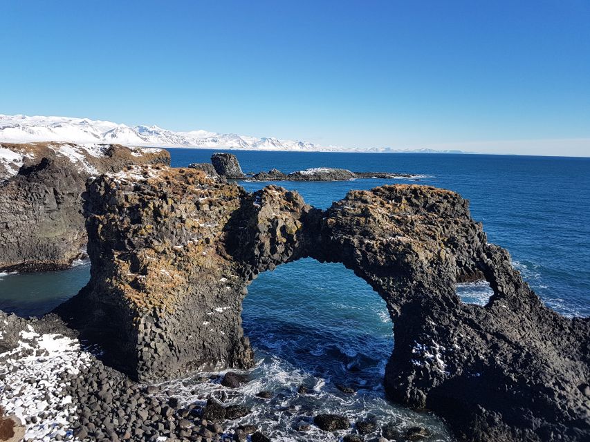 From Reykjavík: 4, 5, 6 or 7-Day Small-Group Ring Road Tour - Day 4: Akureyri, whale watching, and Tröllaskagi