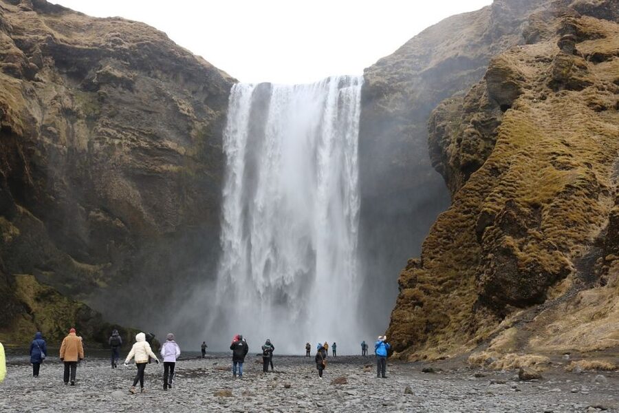 From Reykjavik: 6-Day Small Group Tour of Iceland - Day 4: East Fjords, reindeer, and local folklore