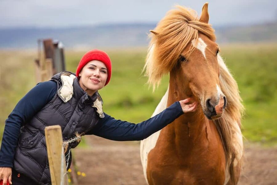 From Reykjavík: Best of Iceland 6-Day Stopover Tour - Northern Lights: a good option, not a promise