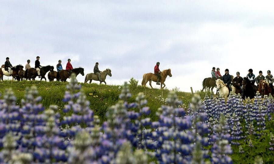 From Reykjavík: Full-day Golden Circle & Horse Riding Tour - Kerið Crater and the Colorful Final Stop
