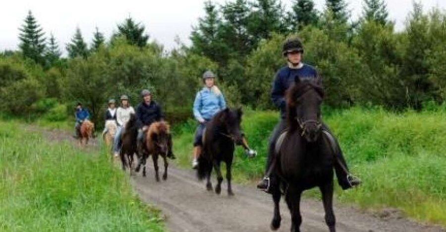From Reykjavik: Full-Day Horse Riding & Golden Circle Tour - The morning transfer from Reykjavik