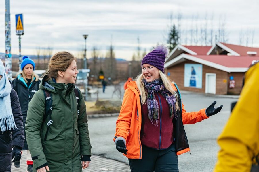 From Reykjavik: Golden Circle and Glacier Snowmobile Tour - Gullfoss and the disappearing timetable