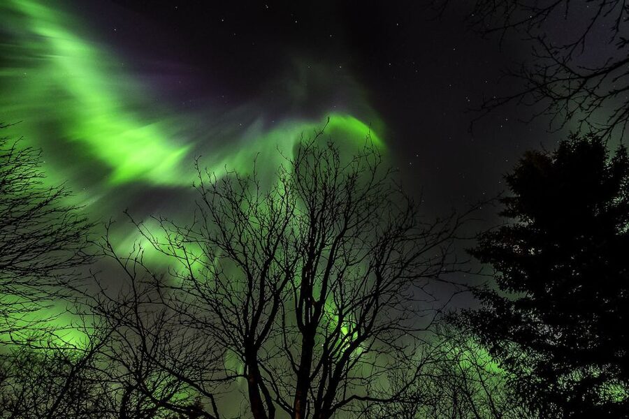 From Reykjavik: Golden Circle and Northern Lights Tour - What the Northern Lights search is really like