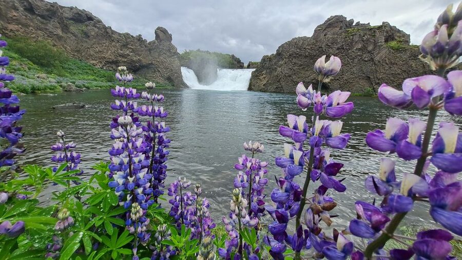 From Reykjavik: Highlands Jeep Tour & Landmannalaugar Hike - Why this highland day is different