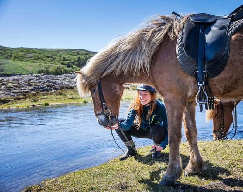 From Reykjavík: Icelandic Horse Riding Tour in Lava Fields - A volcanic ride only minutes from Reykjavík