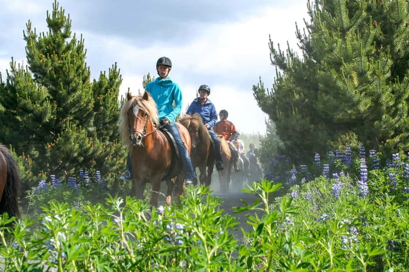 From Reykjavík: Icelandic Horse Riding Tour in Lava Fields - Crossing lava fields on horseback