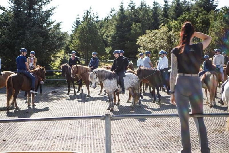 From Reykjavík: Icelandic Horse Riding Tour in Lava Fields - A good first ride for nervous beginners