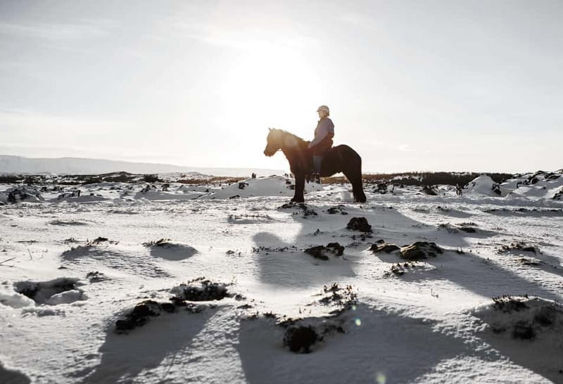From Reykjavík: Icelandic Horse Riding Tour in Lava Fields - Optional pickup from Reykjavík
