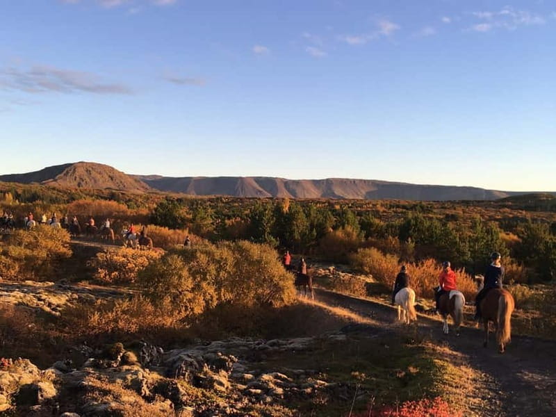 From Reykjavík: Icelandic Horse Riding Tour in Lava Fields - Who gets the best value from this tour
