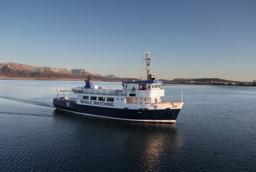 From Reykjavik: New Years Fireworks by Boat - Why watching from the water changes New Year’s Eve
