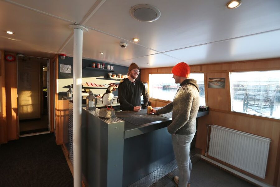 From Reykjavik: New Years Fireworks by Boat - The midnight toast and the northern lights possibility