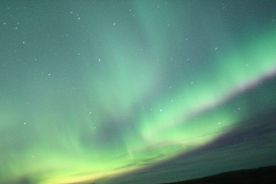 From Reykjavik: Northern Lights Boat Cruise - Should you book the Reykjavik Northern Lights Boat Cruise?