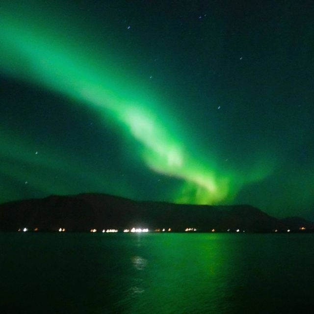 From Reykjavik: Northern Lights Boat Cruise - Who will enjoy this cruise most