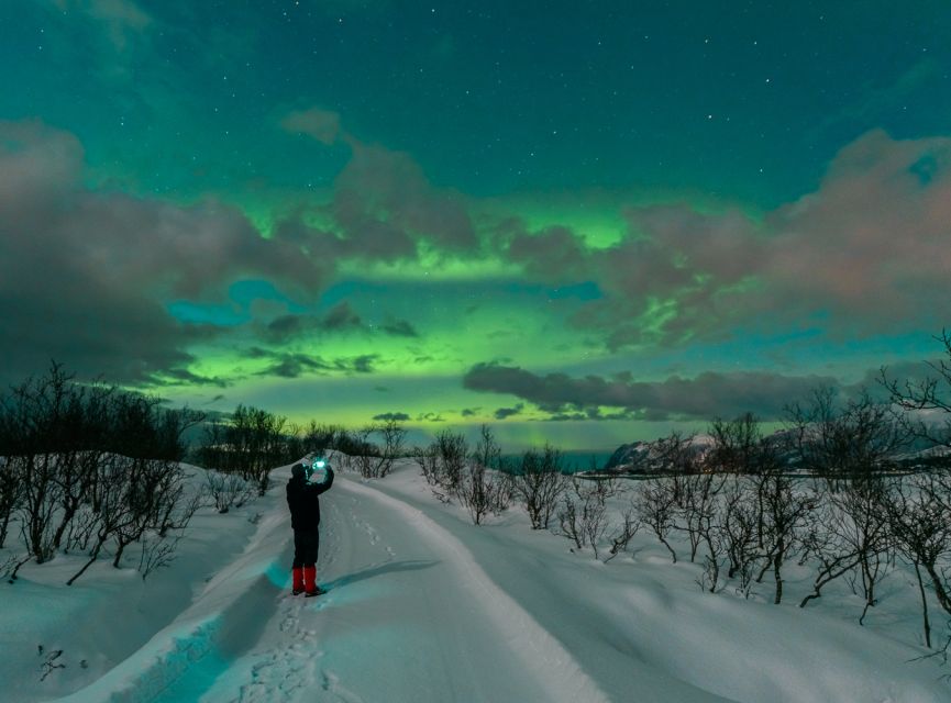 From Reykjavik: Northern Lights Chase with Expert Guide - The guide’s role goes beyond pointing at the sky