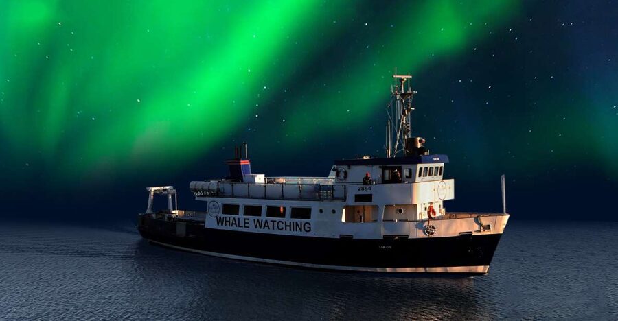 From Reykjavik: Northern Lights Sightseeing Cruise - Key points to know before sailing