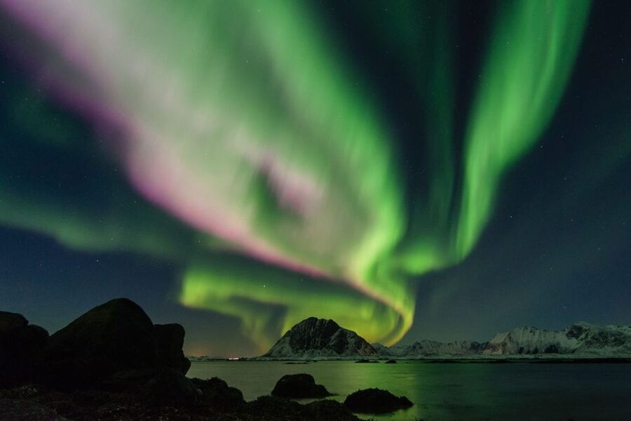 From Reykjavik: Northern Lights Sightseeing Cruise - Booking timing and practical preparation