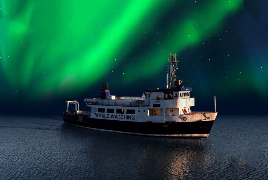 From Reykjavik: Northern Lights Sightseeing Cruise - What the two-hour aurora hunt feels like