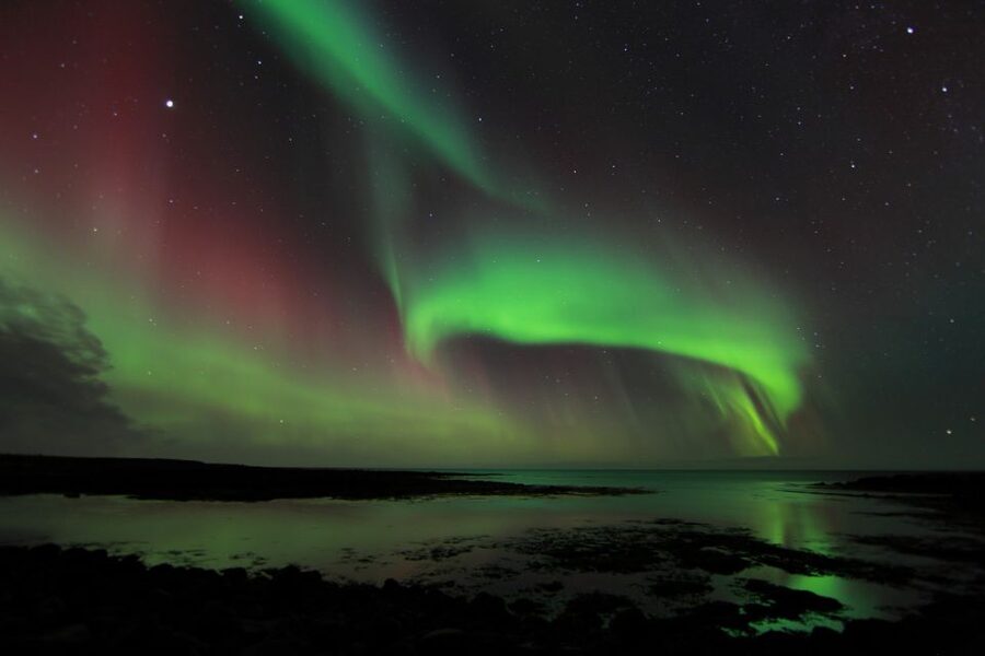 From Reykjavik: Northern Lights Tour - Key points to know before you book