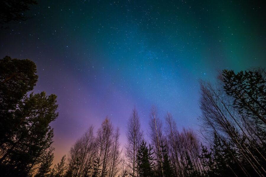 From Reykjavik: Northern Lights Tour - What happens if you see nothing