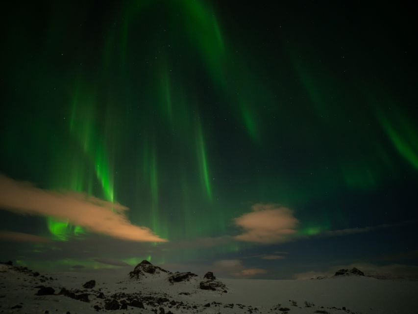 From Reykjavik: Northern Lights Tour with Hot Cocoa & Photos - Is $169 a fair price?
