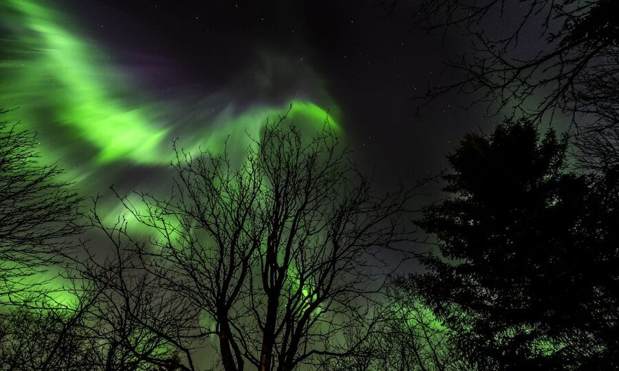 From Reykjavik: Northern Lights Tour with Lifetime Guarantee - The first dark stop and the long wait