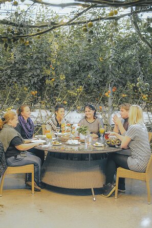 From Reykjavik: Private Golden Circle Iceland Day Tour - Why a private Golden Circle day can be worth the cost