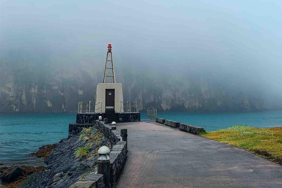 From Reykjavik: Puffin and Volcano Tour in Westman Islands - Is $272 good value?