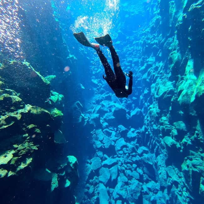 From Reykjavik: Silfra Snorkeling with Free Photos - Who should book this Silfra tour