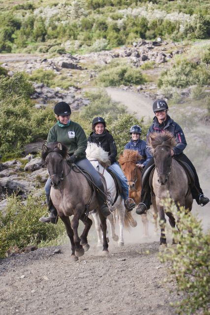 From Reykjavík: Viking Horseback Tour in Hafnarfjörður - Why the Icelandic horse makes this ride special