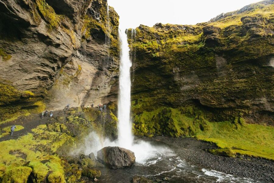 From Reykjavík: Waterfalls, Black Beach & Glacier Day Trip - The optional Solheimajokull glacier hike