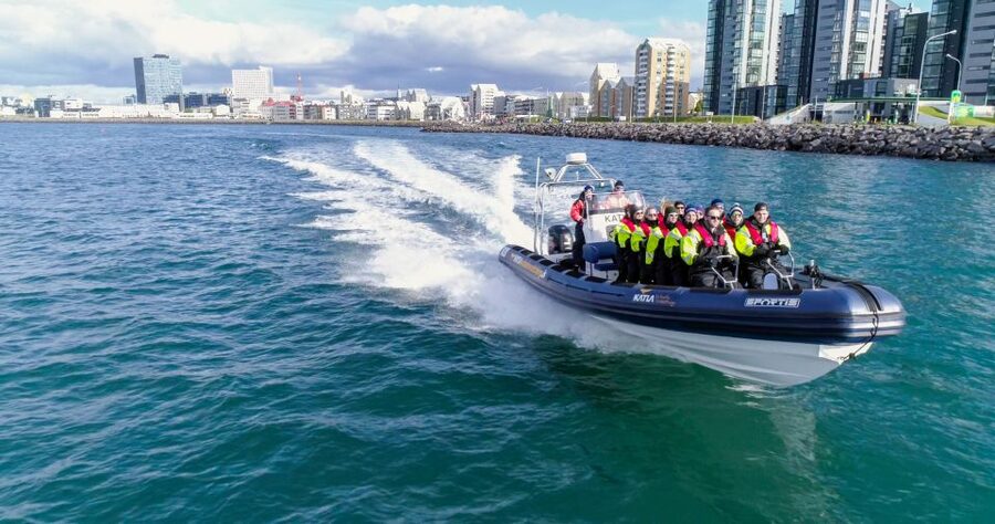 From Reykjavik: Whale Watching Tour by Speedboat - Key points at a glance