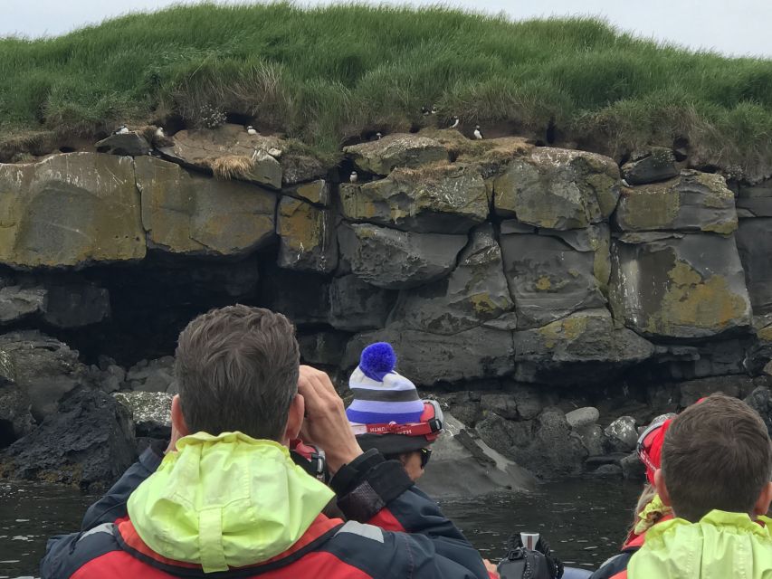 From Reykjavik: Whale Watching Tour by Speedboat - Who should book this speedboat tour