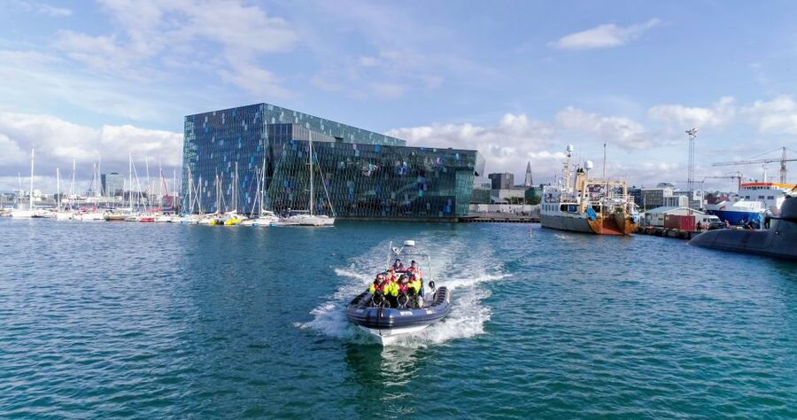From Reykjavik: Whale Watching Tour by Speedboat - Practical planning for the best outing