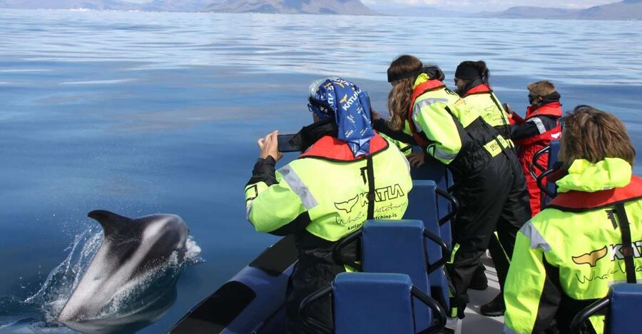 From Reykjavik: Whale Watching Tour by Speedboat - Leaving Harpa and the Sun Voyager behind