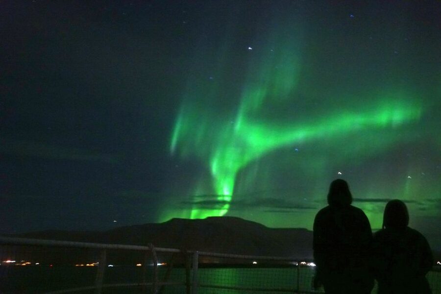 From Reykjavik: Whales and Northern Lights Boat Tour - Who will get the most from this outing?