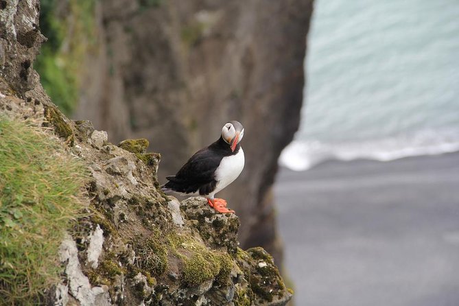 Glacier Lagoon, Diamond Beach, Black Sand Beaches and Waterfalls - The guides are a major part of the day