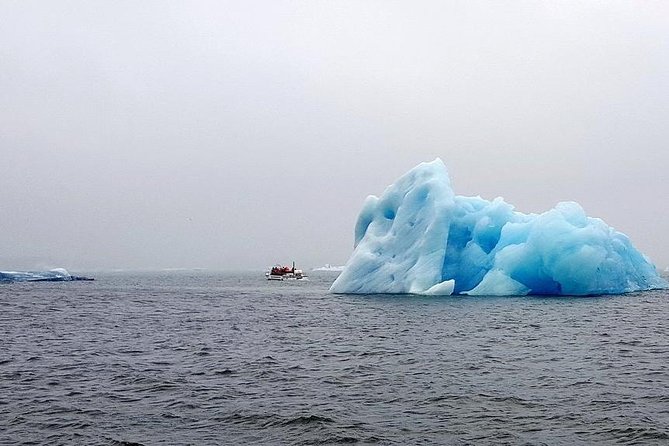 Glacier Lagoon & South Coast. Private Day Tour - Diamond Beach, where ice meets black sand