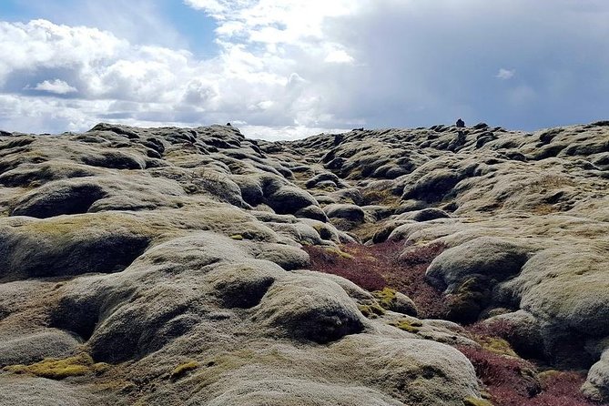Glacier Lagoon & South Coast. Private Day Tour - What the guide adds to the day