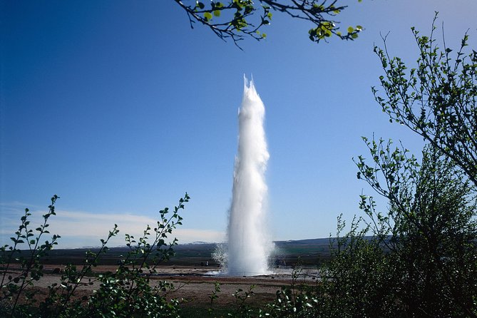 Golden Circle 7 Hours Bus Tour from Reykjavik - Should you book it?
