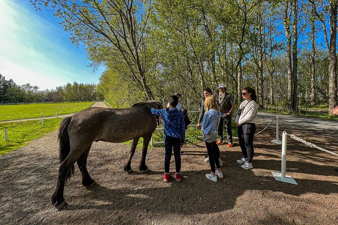 Golden Circle and Lunch at Fridheimar Tomato Farm - with photos - What the $255 price really covers