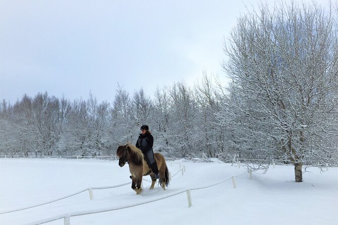 Golden Circle, Fridheimar Farm & Horses Small Group Tour from Reykjavik - Kerid Crater: a short stop with strong colors
