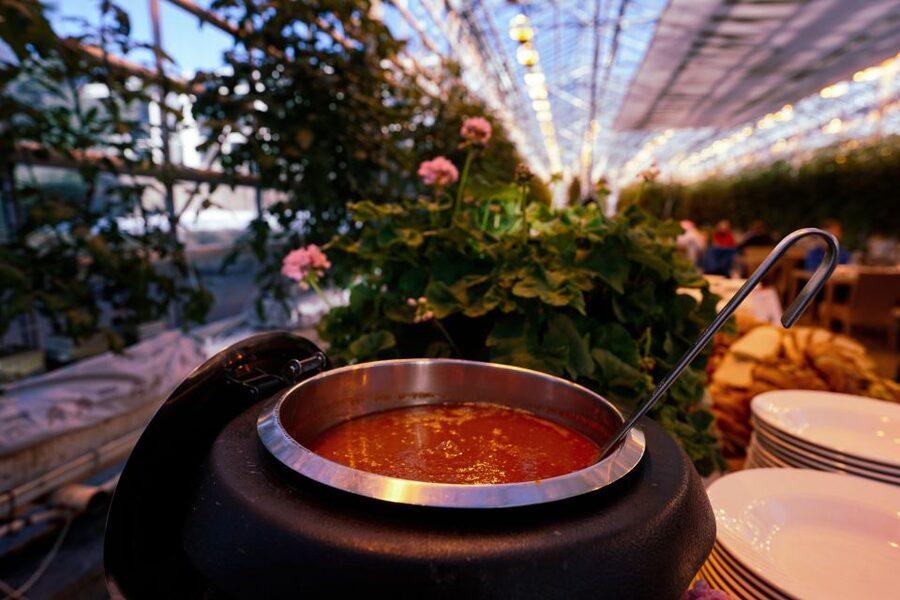 Golden Circle & Lunch at Fridheimar Tomato Farm- with photos - Why this Golden Circle day works