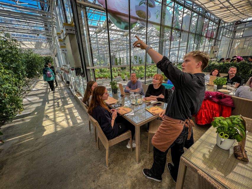 Golden Circle & Lunch at Fridheimar Tomato Farm- with photos - Gullfoss and the force of glacial water
