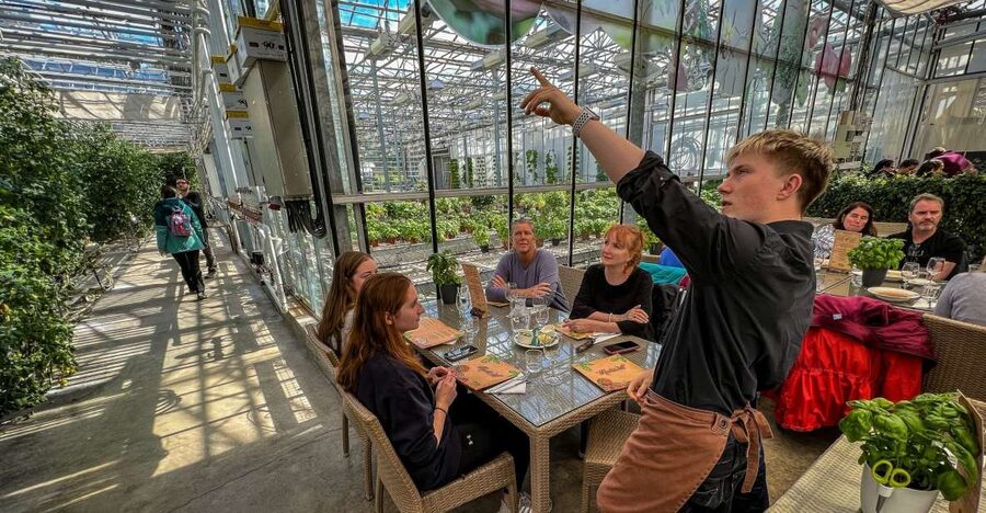 Golden Circle & Lunch at Fridheimar Tomato Farm- with photos - Friðheimar Tomato Farm turns lunch into an attraction