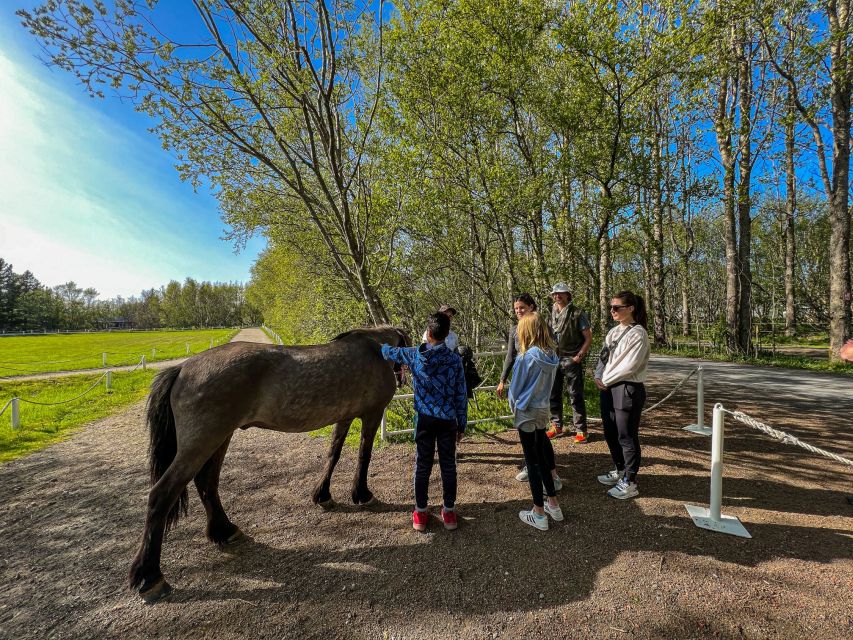Golden Circle & Lunch at Fridheimar Tomato Farm- with photos - Meeting the Icelandic horses
