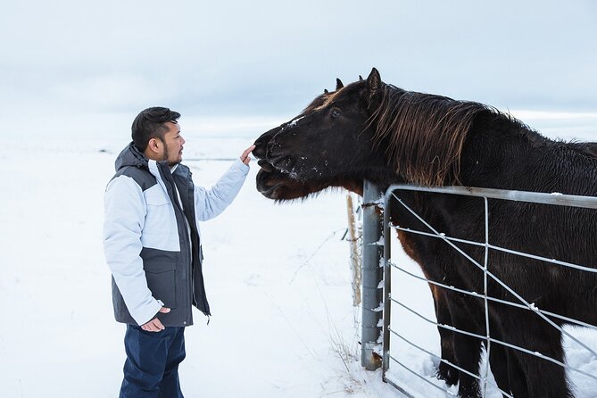 Golden Circle | Private Tour | PRO Photo Package - Why this private Golden Circle tour costs so much