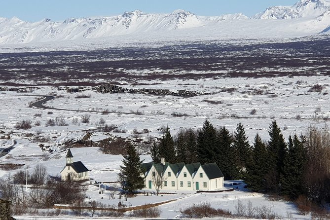 Golden Circle - Puffin Travel Private tour - Geysir and Strokkur: steam, mud, and sudden water