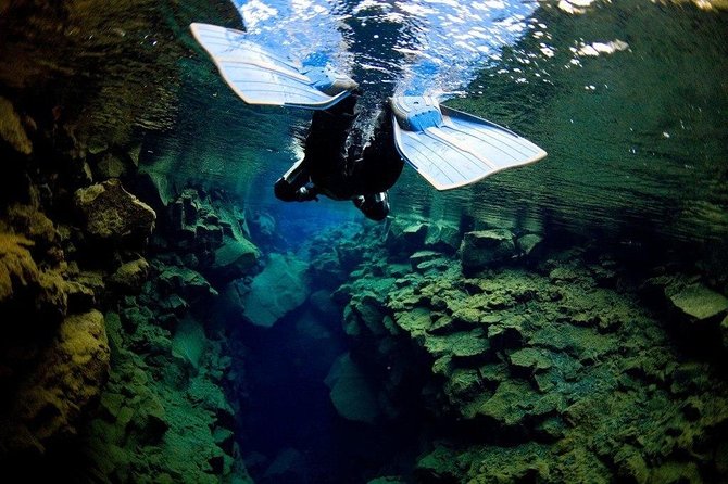 Golden Circle & Silfra Snorkeling Small-Group Supersaver Combo - What the guides add to the day