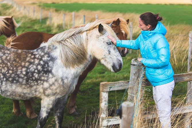 Golden Circle & Viking Horse Experience - Geysir, steam, and the fast-changing weather
