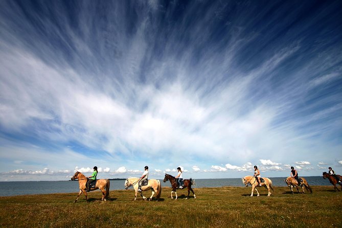 Golden Circle & Viking Horse Experience - The guide and audio guide balance